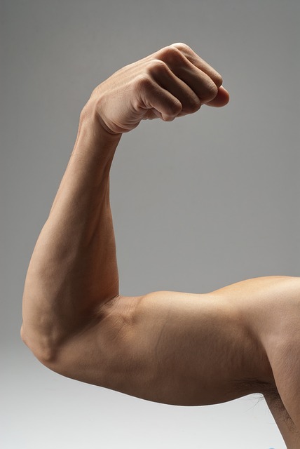 Jak wyćwiczyć biceps bez sprzętu?
