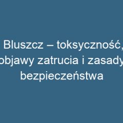 Bluszcz – toksyczność, objawy zatrucia i zasady bezpieczeństwa