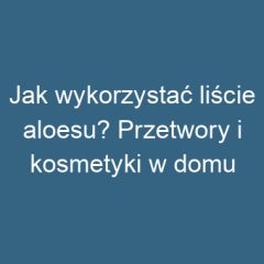 Jak wykorzystać liście aloesu? Przetwory i kosmetyki w domu