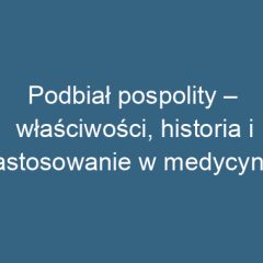 Podbiał pospolity – właściwości, historia i zastosowanie w medycynie