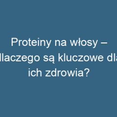 Proteiny na włosy – dlaczego są kluczowe dla ich zdrowia?