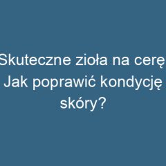 Skuteczne zioła na cerę: Jak poprawić kondycję skóry?