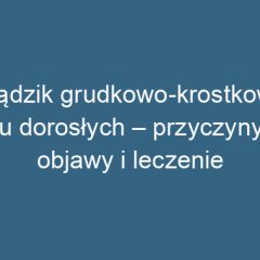Trądzik grudkowo-krostkowy u dorosłych – przyczyny, objawy i leczenie