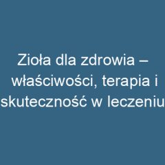 Zioła dla zdrowia – właściwości, terapia i skuteczność w leczeniu