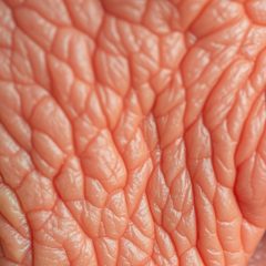 Inflammaging w praktyce: jak rozpoznać i ograniczyć przewlekły stan zapalny przyspieszający starzenie skóry